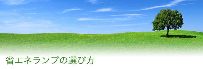 蛍光ランプの選び方